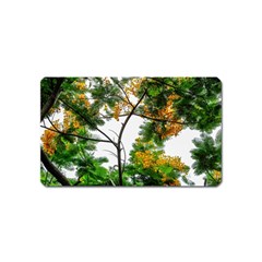 Tree Sunlight Forest Nature Landscape Sunrise Fog Magnet (name Card)