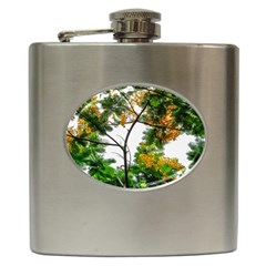 Tree Sunlight Forest Nature Landscape Sunrise Fog Hip Flask (6 Oz) by danenraven