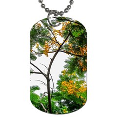 Tree Sunlight Forest Nature Landscape Sunrise Fog Dog Tag (two Sides) by danenraven