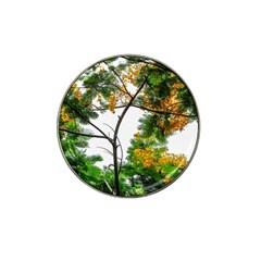 Tree Sunlight Forest Nature Landscape Sunrise Fog Hat Clip Ball Marker by danenraven