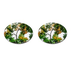 Tree Sunlight Forest Nature Landscape Sunrise Fog Cufflinks (oval) by danenraven