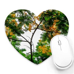 Tree Sunlight Forest Nature Landscape Sunrise Fog Heart Mousepad by danenraven