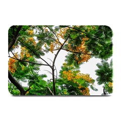 Tree Sunlight Forest Nature Landscape Sunrise Fog Plate Mats by danenraven