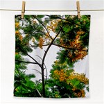 Tree Sunlight Forest Nature Landscape Sunrise Fog Face Towel Front