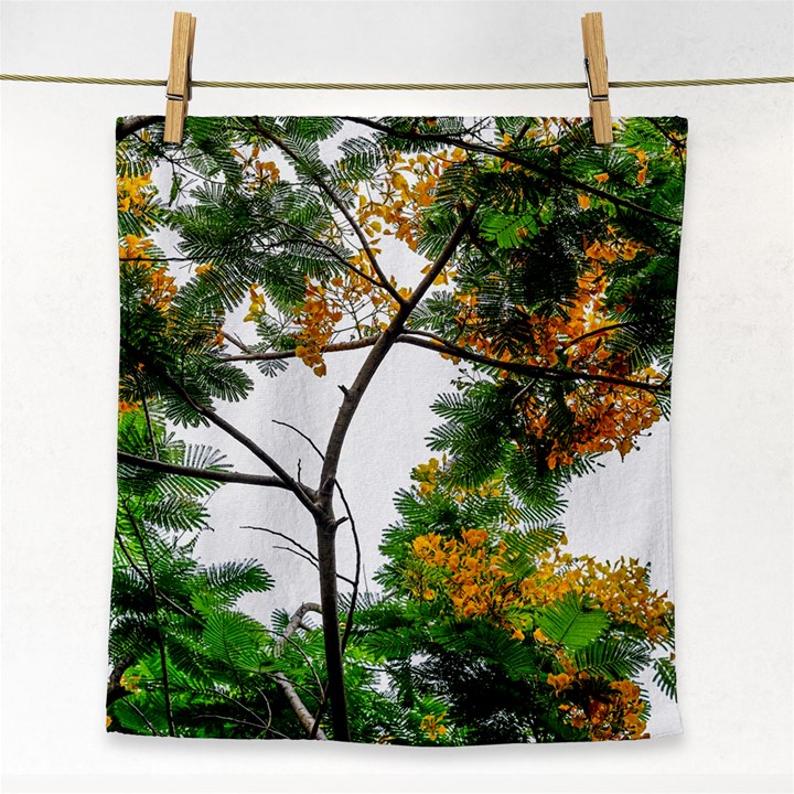 Tree Sunlight Forest Nature Landscape Sunrise Fog Face Towel