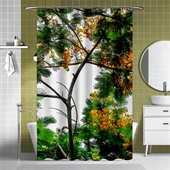 Tree Sunlight Forest Nature Landscape Sunrise Fog Shower Curtain 48  X 72  (small)  by danenraven