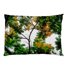 Tree Sunlight Forest Nature Landscape Sunrise Fog Pillow Case (two Sides) by danenraven