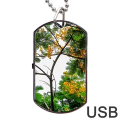 Tree Sunlight Forest Nature Landscape Sunrise Fog Dog Tag Usb Flash (one Side) by danenraven