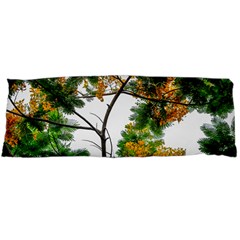 Tree Sunlight Forest Nature Landscape Sunrise Fog Body Pillow Case (dakimakura) by danenraven