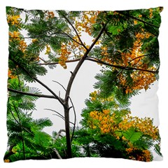 Tree Sunlight Forest Nature Landscape Sunrise Fog Large Cushion Case (one Side) by danenraven