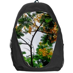 Tree Sunlight Forest Nature Landscape Sunrise Fog Backpack Bag by danenraven