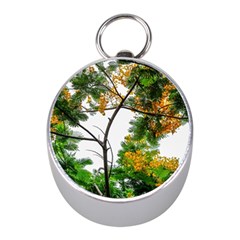 Tree Sunlight Forest Nature Landscape Sunrise Fog Mini Silver Compasses by danenraven