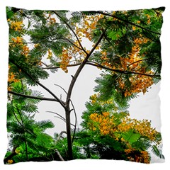 Tree Sunlight Forest Nature Landscape Sunrise Fog Standard Flano Cushion Case (one Side) by danenraven