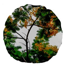 Tree Sunlight Forest Nature Landscape Sunrise Fog Large 18  Premium Flano Round Cushions by danenraven