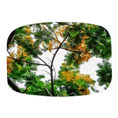 Tree Sunlight Forest Nature Landscape Sunrise Fog Mini Square Pill Box by danenraven