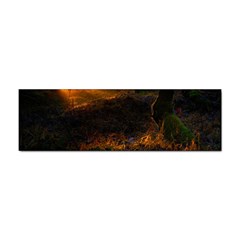 Sunset Forest Fall Sunbeams Nature Sticker Bumper (100 Pack) by danenraven