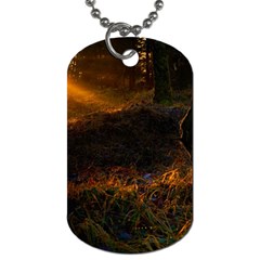 Sunset Forest Fall Sunbeams Nature Dog Tag (two Sides) by danenraven