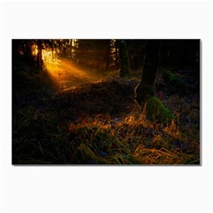 Sunset Forest Fall Sunbeams Nature Postcards 5  X 7  (pkg Of 10) by danenraven