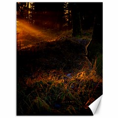 Sunset Forest Fall Sunbeams Nature Canvas 36  X 48  by danenraven