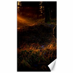 Sunset Forest Fall Sunbeams Nature Canvas 40  X 72  by danenraven