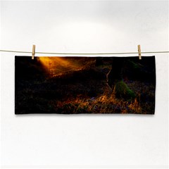 Sunset Forest Fall Sunbeams Nature Hand Towel by danenraven