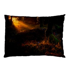 Sunset Forest Fall Sunbeams Nature Pillow Case by danenraven