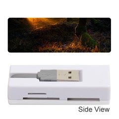 Sunset Forest Fall Sunbeams Nature Memory Card Reader (stick) by danenraven