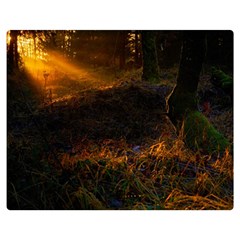 Sunset Forest Fall Sunbeams Nature Double Sided Flano Blanket (medium)  by danenraven