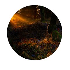 Sunset Forest Fall Sunbeams Nature Mini Round Pill Box by danenraven