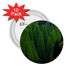 Forest Scenery Nature Trees Woods 2 25  Buttons (10 Pack)  by danenraven