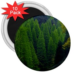 Forest Scenery Nature Trees Woods 3  Magnets (10 Pack)  by danenraven