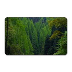 Forest Scenery Nature Trees Woods Magnet (rectangular) by danenraven