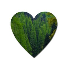 Forest Scenery Nature Trees Woods Heart Magnet by danenraven