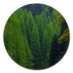 Forest Scenery Nature Trees Woods Magnet 5  (round) by danenraven