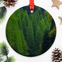 Forest Scenery Nature Trees Woods Round Ornament (two Sides) by danenraven