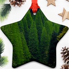 Forest Scenery Nature Trees Woods Star Ornament (two Sides) by danenraven