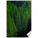 Forest Scenery Nature Trees Woods Canvas 24  x 36  23.35 x34.74  Canvas - 1