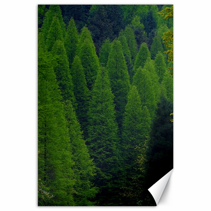 Forest Scenery Nature Trees Woods Canvas 24  x 36 