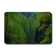 Forest Scenery Nature Trees Woods Small Doormat by danenraven