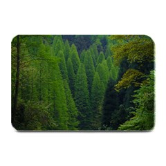 Forest Scenery Nature Trees Woods Plate Mats by danenraven