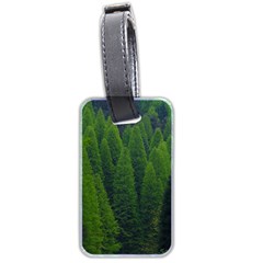 Forest Scenery Nature Trees Woods Luggage Tag (two Sides)