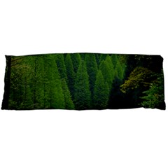 Forest Scenery Nature Trees Woods Body Pillow Case (dakimakura) by danenraven