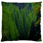 Forest Scenery Nature Trees Woods Standard Flano Cushion Case (One Side) Front