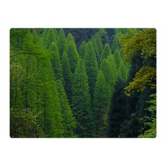 Forest Scenery Nature Trees Woods Double Sided Flano Blanket (mini)  by danenraven