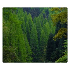 Forest Scenery Nature Trees Woods Double Sided Flano Blanket (small)  by danenraven