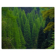 Forest Scenery Nature Trees Woods Double Sided Flano Blanket (medium)  by danenraven