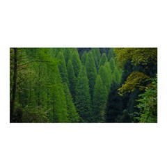 Forest Scenery Nature Trees Woods Satin Wrap 35  X 70  by danenraven