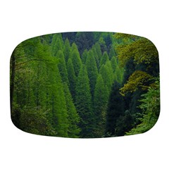 Forest Scenery Nature Trees Woods Mini Square Pill Box by danenraven