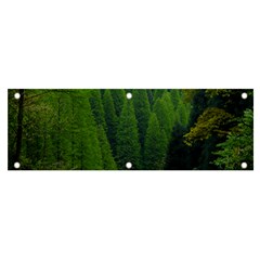 Forest Scenery Nature Trees Woods Banner And Sign 6  X 2 