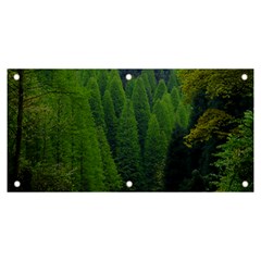 Forest Scenery Nature Trees Woods Banner And Sign 6  X 3 